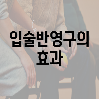 입술반영구의 효과