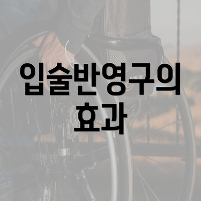 입술반영구의 효과