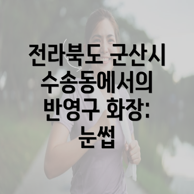 전라북도 군산시 수송동에서의 반영구 화장: 눈썹