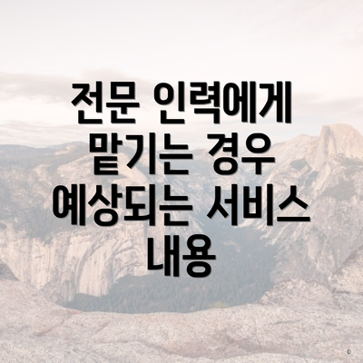 전문 인력에게 맡기는 경우 예상되는 서비스 내용