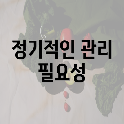 정기적인 관리 필요성