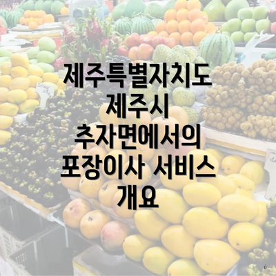 제주특별자치도 제주시 추자면에서의 포장이사 서비스 개요