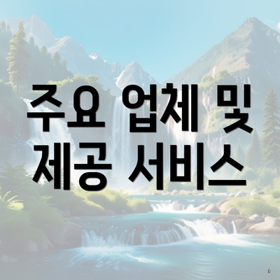 주요 업체 및 제공 서비스