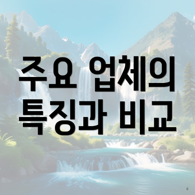 주요 업체의 특징과 비교