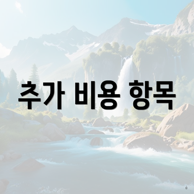 추가 비용 항목