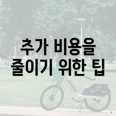 추가 비용을 줄이기 위한 팁