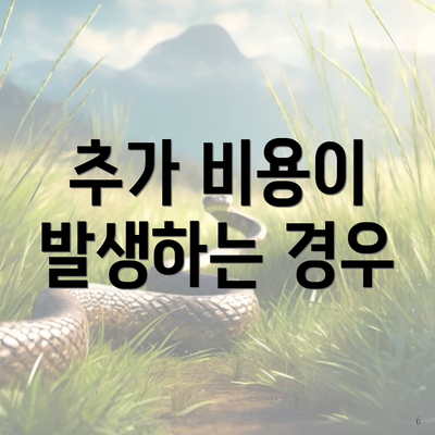 추가 비용이 발생하는 경우