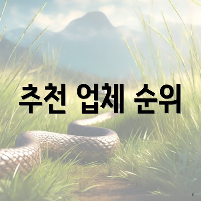 추천 업체 순위