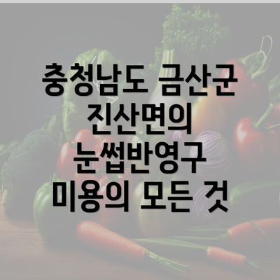 충청남도 금산군 진산면의 눈썹반영구 미용의 모든 것