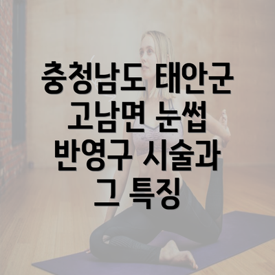 충청남도 태안군 고남면 눈썹 반영구 시술과 그 특징