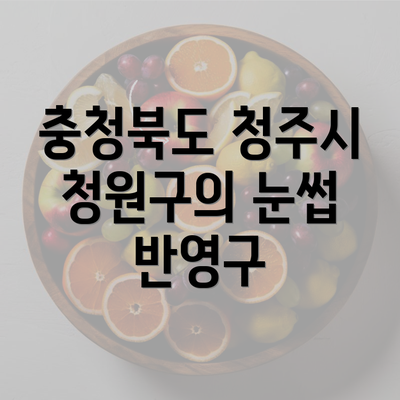 충청북도 청주시 청원구의 눈썹 반영구