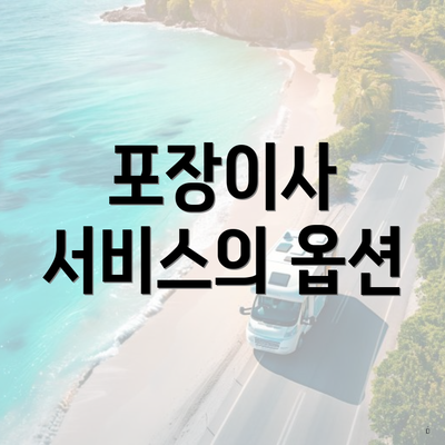 포장이사 서비스의 옵션