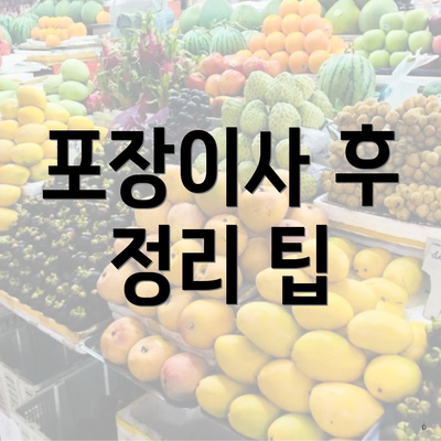 포장이사 후 정리 팁