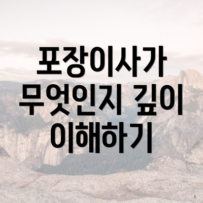 포장이사가 무엇인지 깊이 이해하기