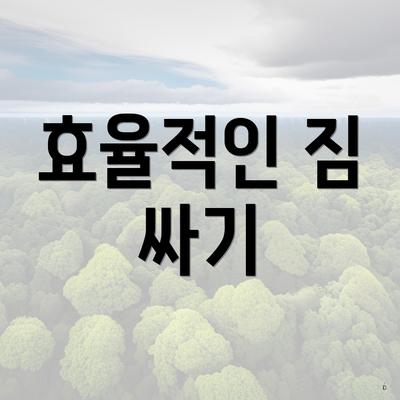 효율적인 짐 싸기