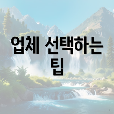 업체 선택하는 팁