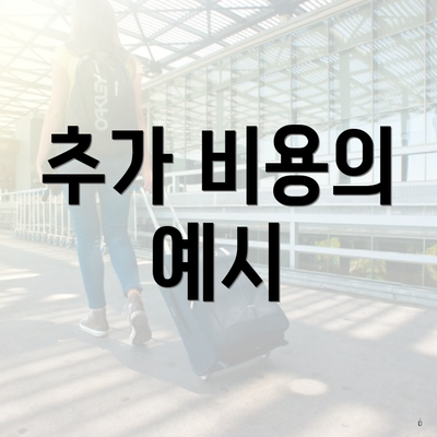 추가 비용의 예시