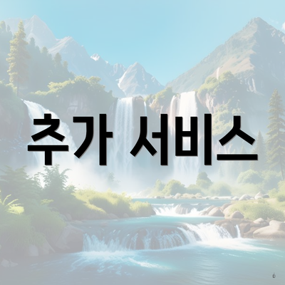 추가 서비스