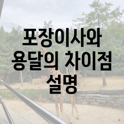 포장이사와 용달의 차이점 설명