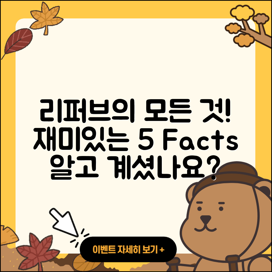 리퍼브 뜻과 관련된 5가지 흥미로운 사실